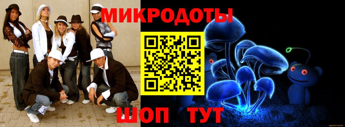 Псилоцибиновые грибы Psilocybine cubensis  Вход с VPN  Мурино 